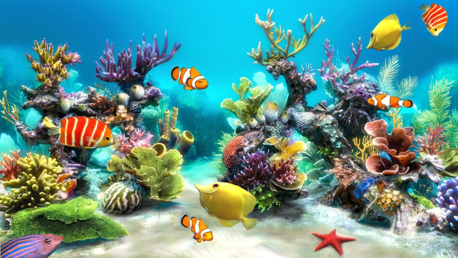 Main Banner Image 1
